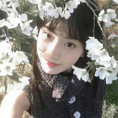 机器肉鸡第五季