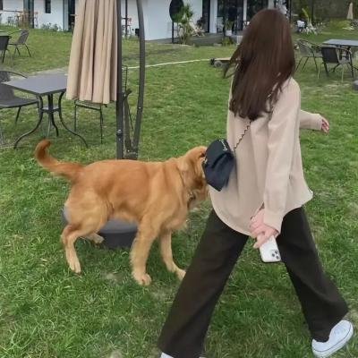 自然有话说
